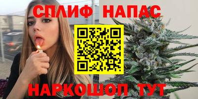 дмт Нальчик